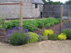 Walled garden 2010